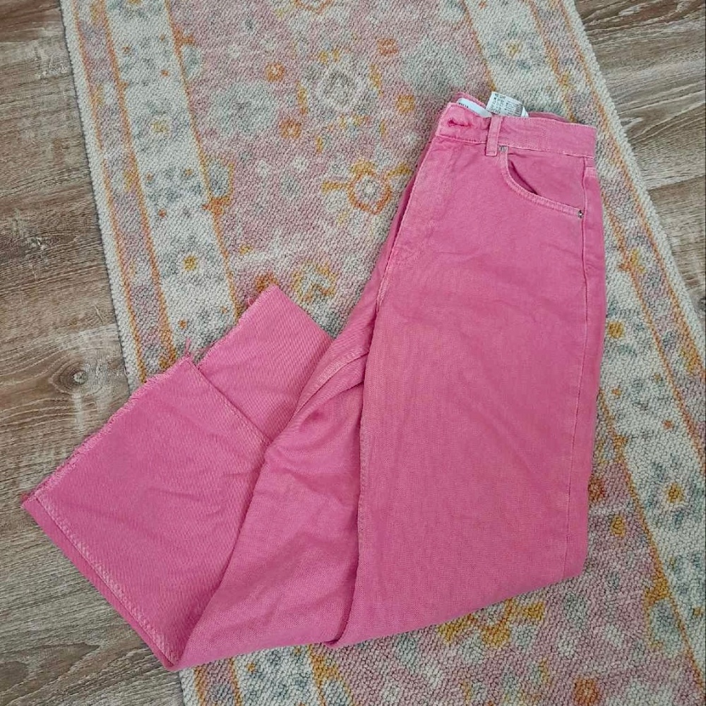 Zara Pink High Waisted Pants